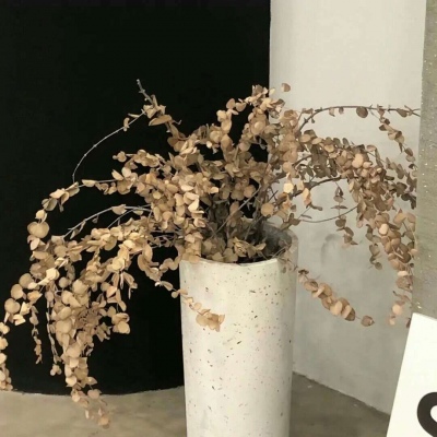 Furry萌系风格设计技巧兽圈社群